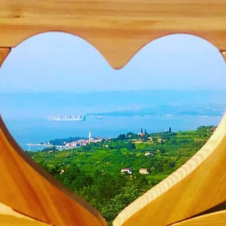 Apartmaji Meli.pu 4 Daire *